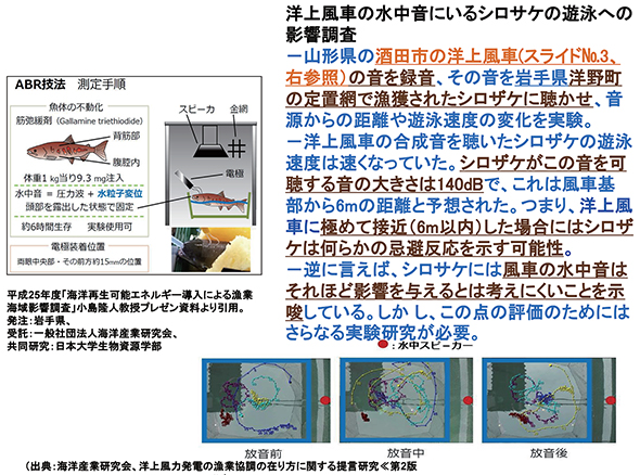 youjyouhuuryoku_02.jpeg