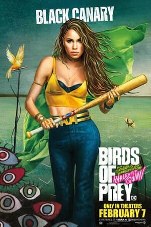 black_canary_character_art_bdpry.jpg