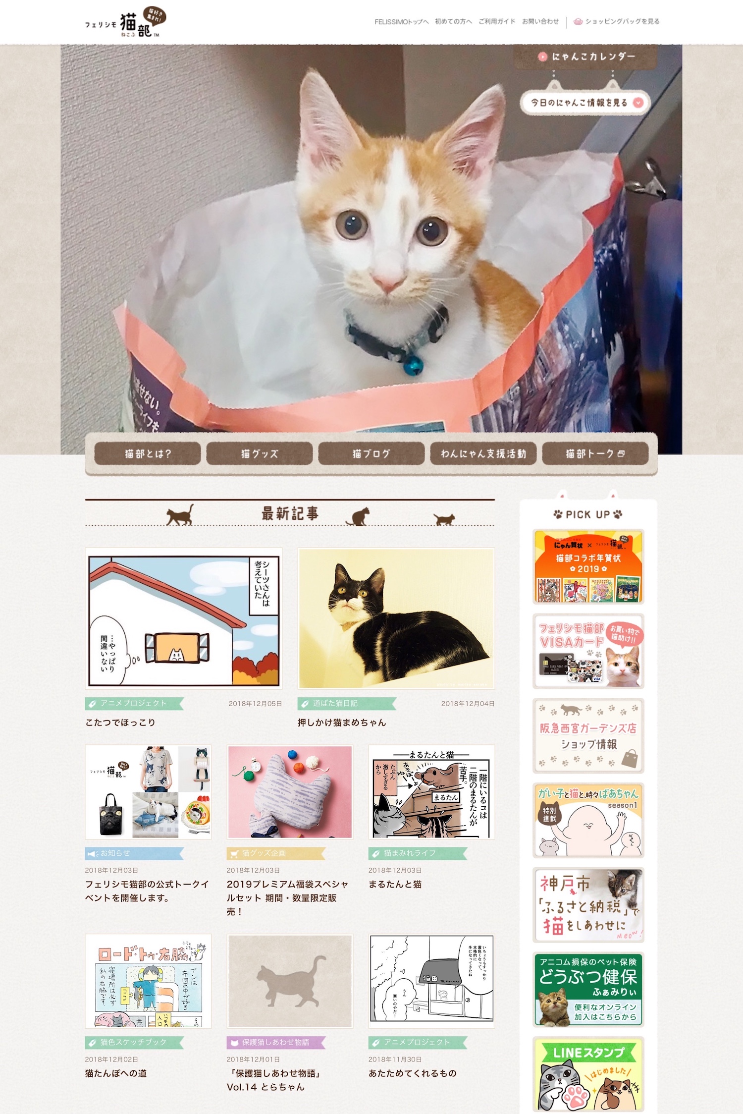 19.Wp 猫部１.JPG