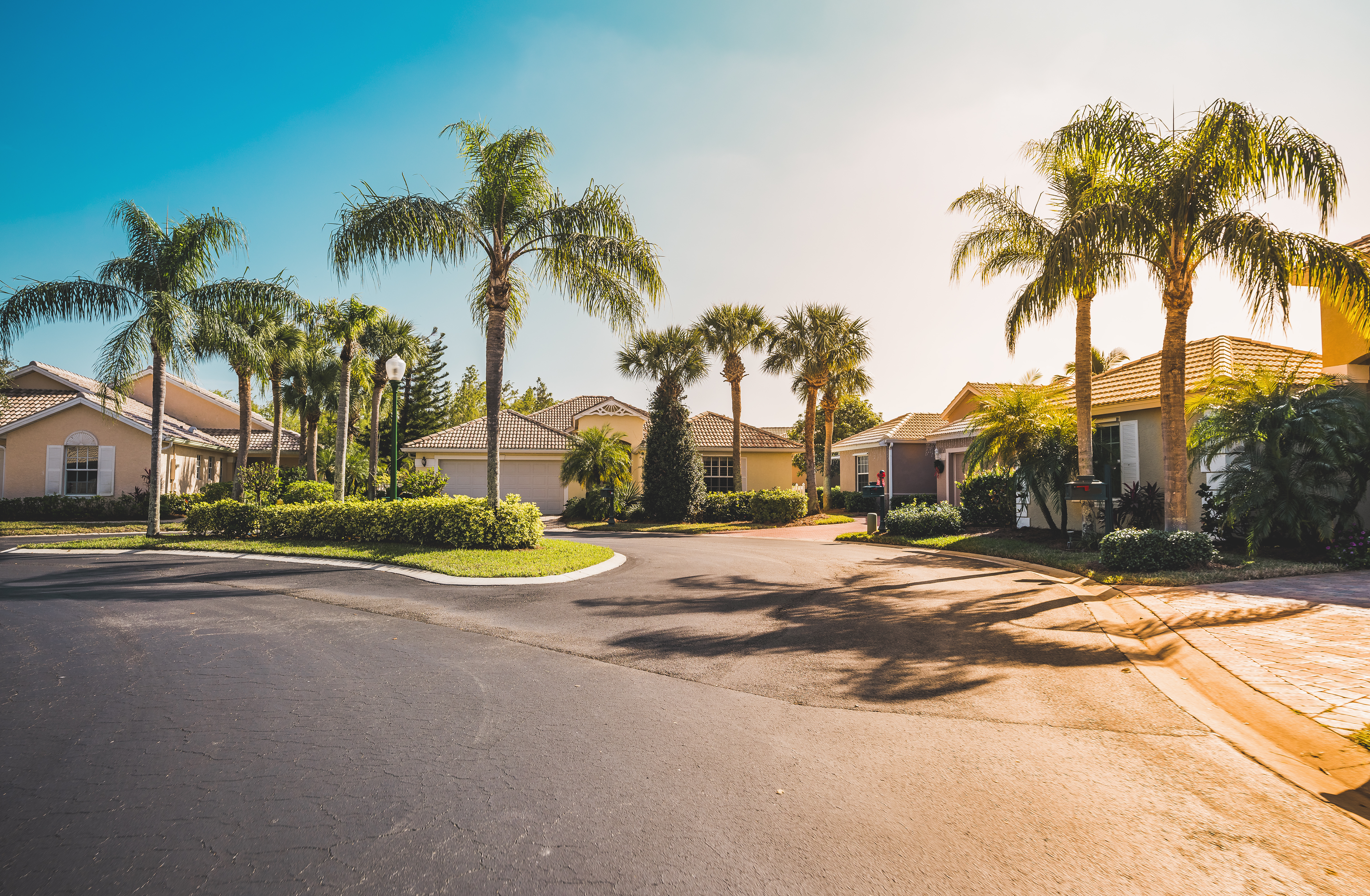 Gated community houses with palms, South Florida