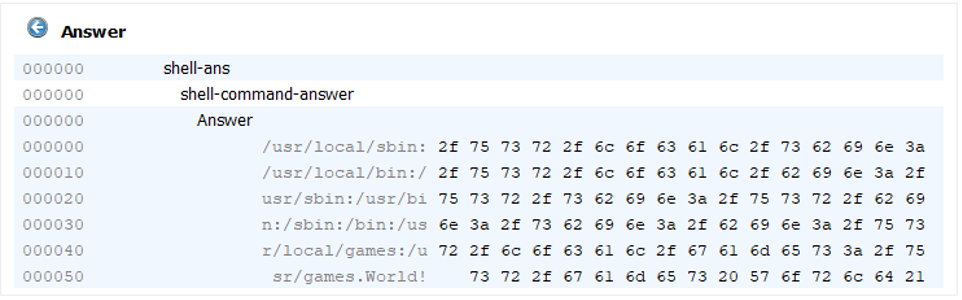 shell command answer | Synopsys