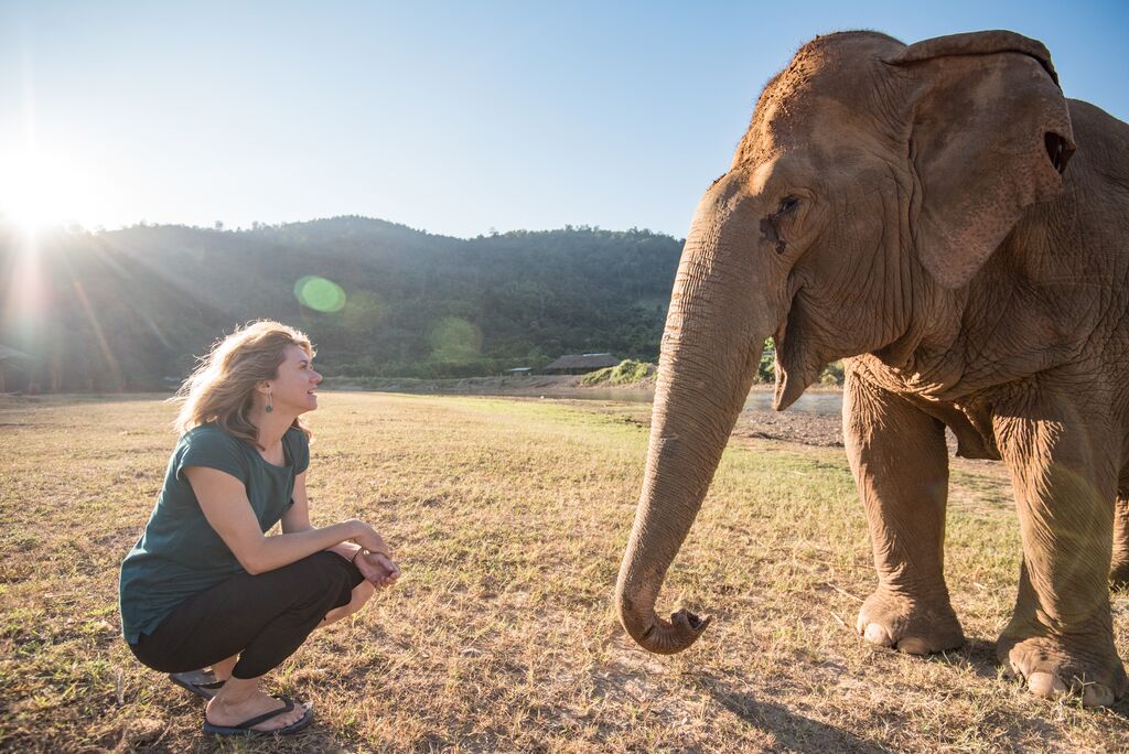 Intrepid Travel- Thailand-chiang-mai-elephants-5283 (1).jpg