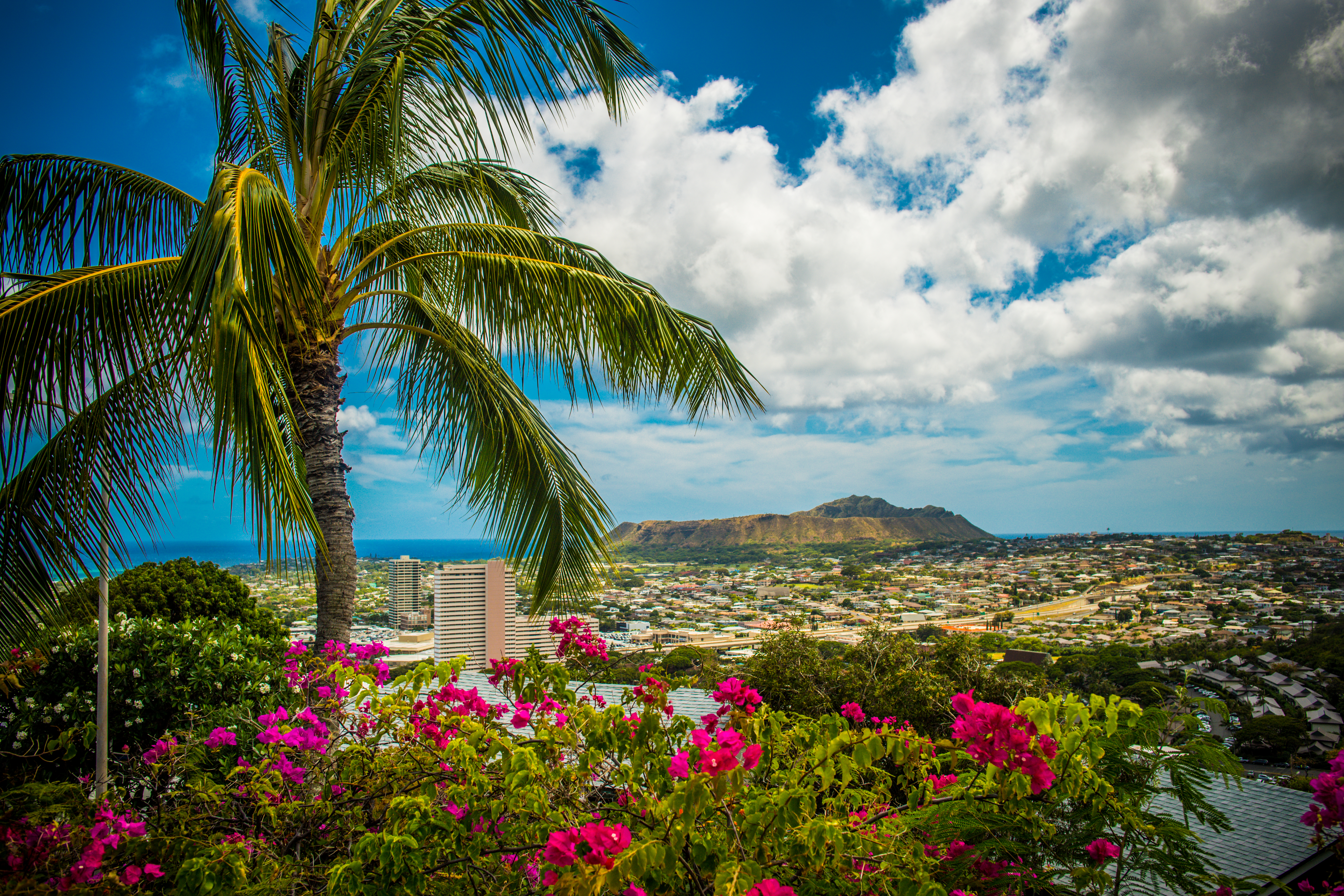 Diamond Head and Bougainvillea at Hawaii.