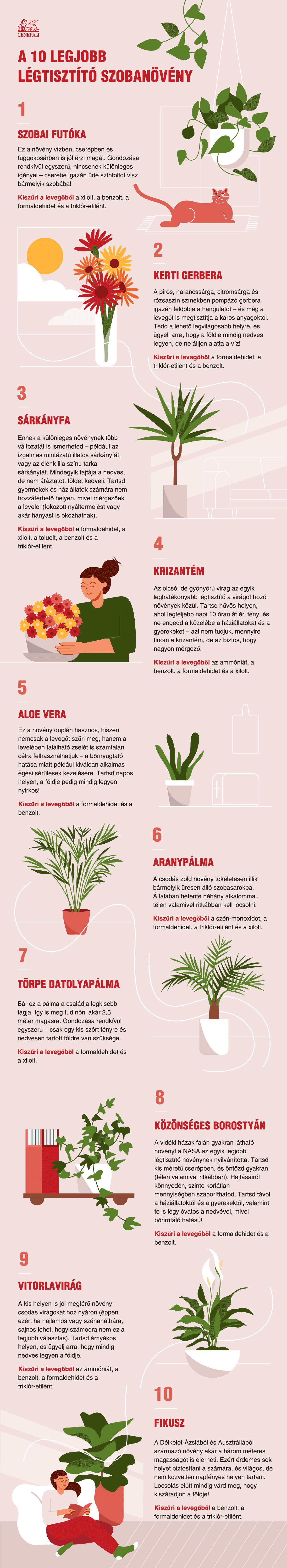generali-air-purifying-plants-hungarian.gif