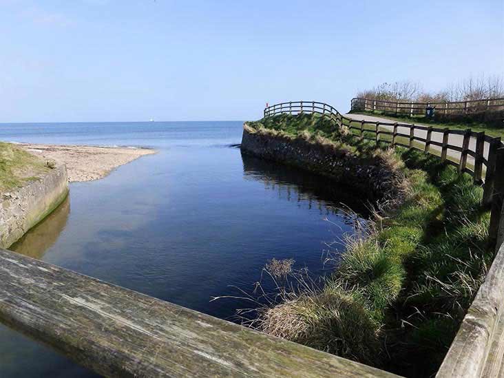 Crawfordsburn Country Park in Northern Ireland has accessible pathways