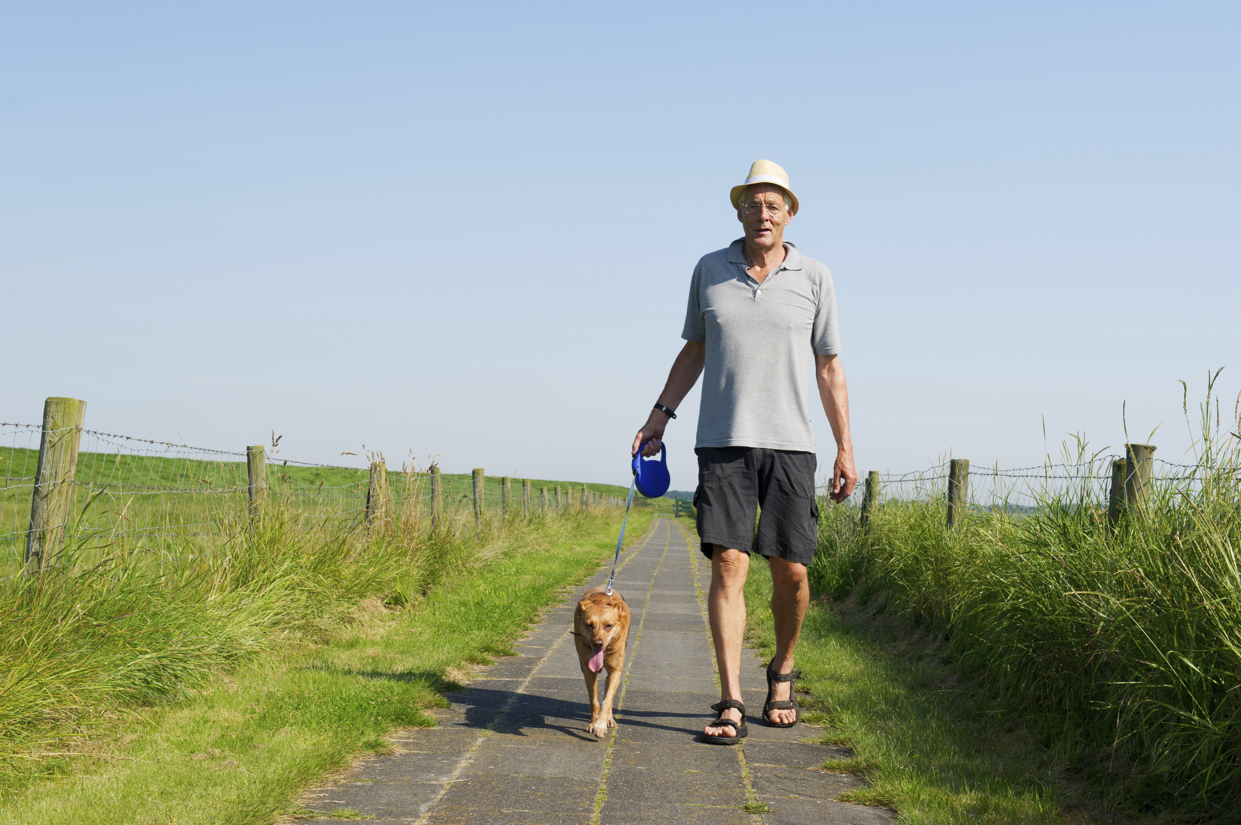 Elderly man with straw hat walking the dog in summer season
