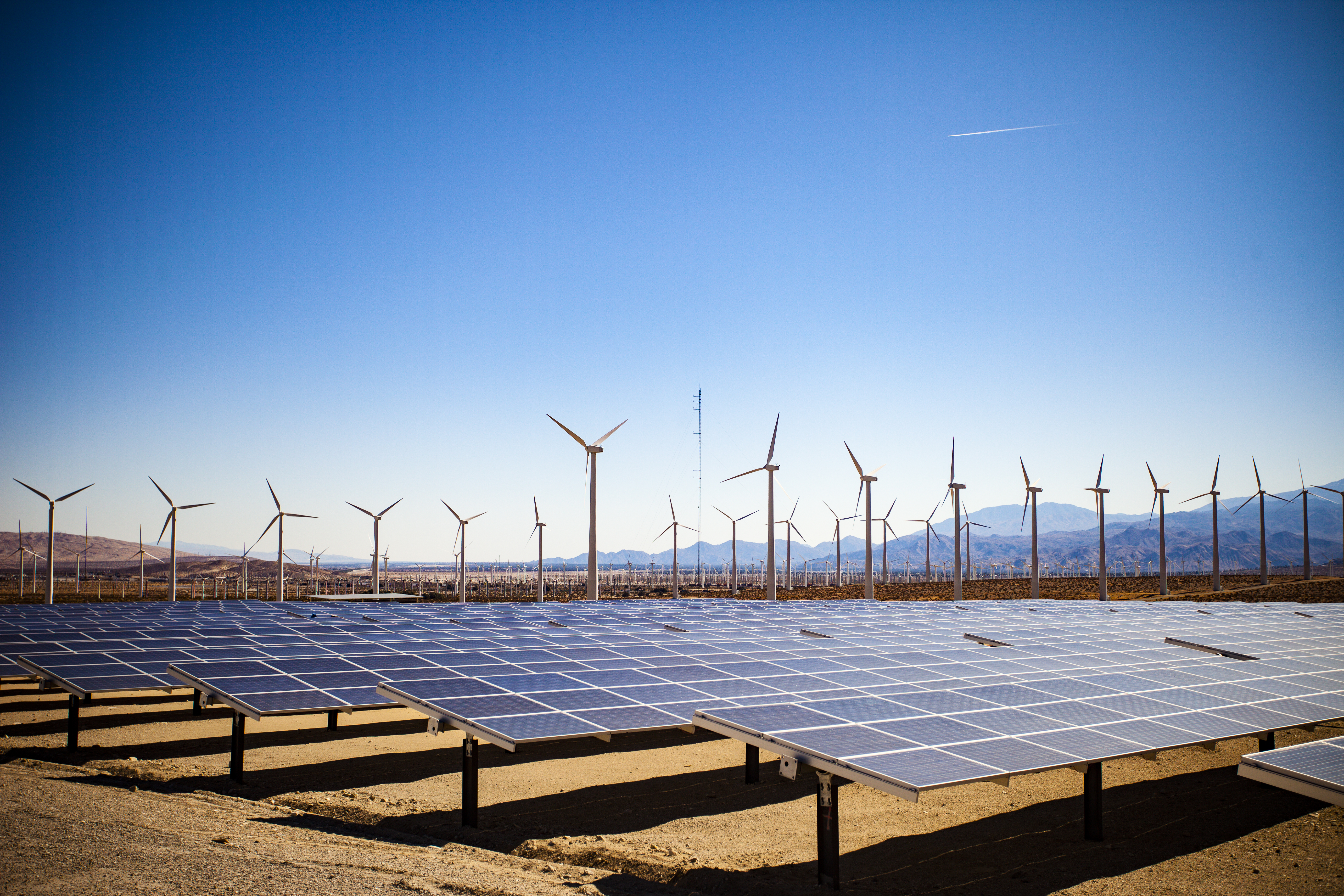 Field of Solar Panels and Windmills