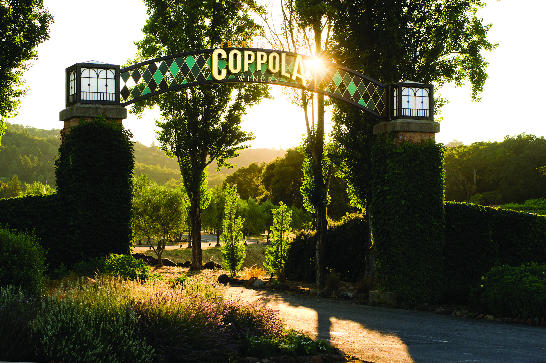 Francis Ford Coppola Winery's Head Winemaker Talks Entertaining (& of Course, Vino)