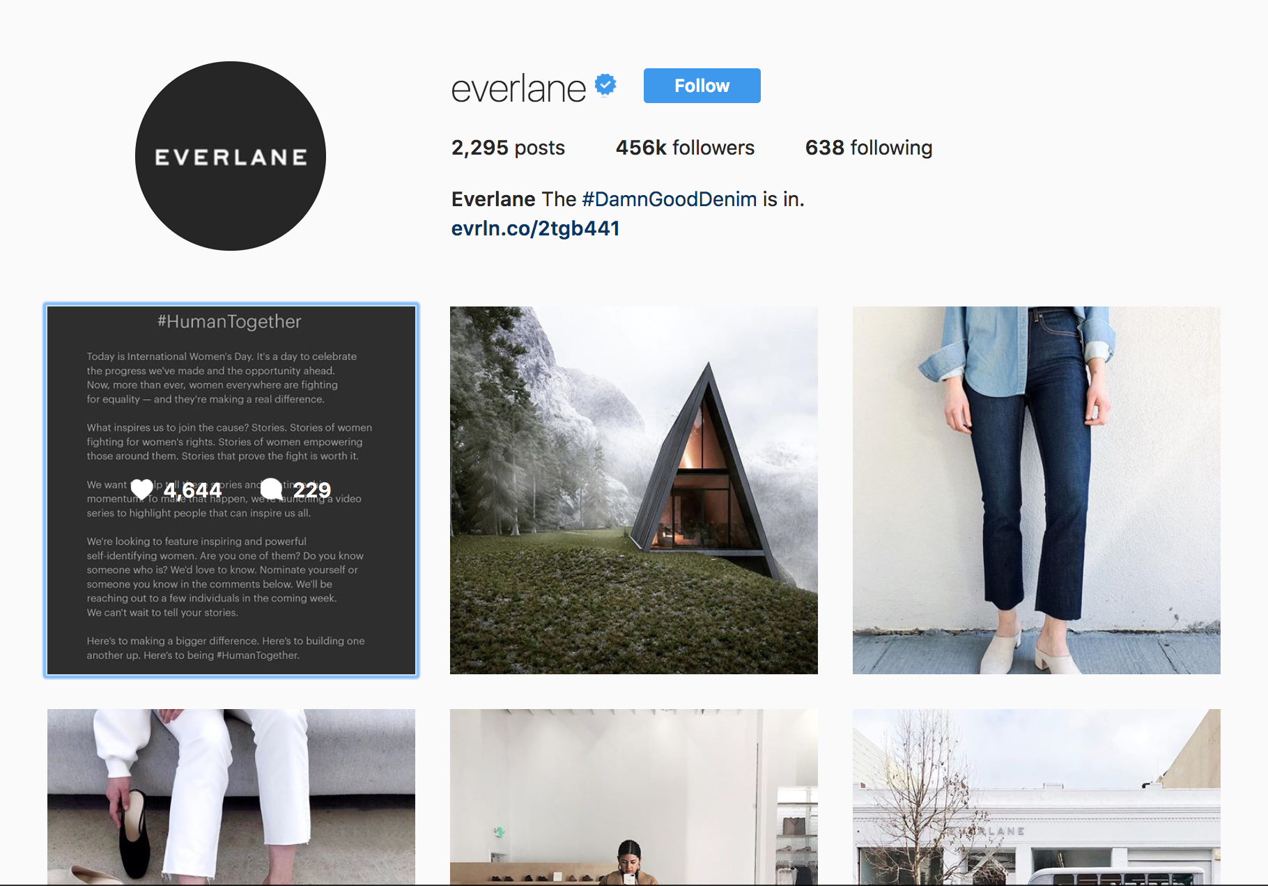 Everlane Instagram.png