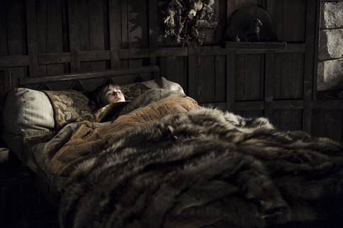 Game of thrones clearance bed