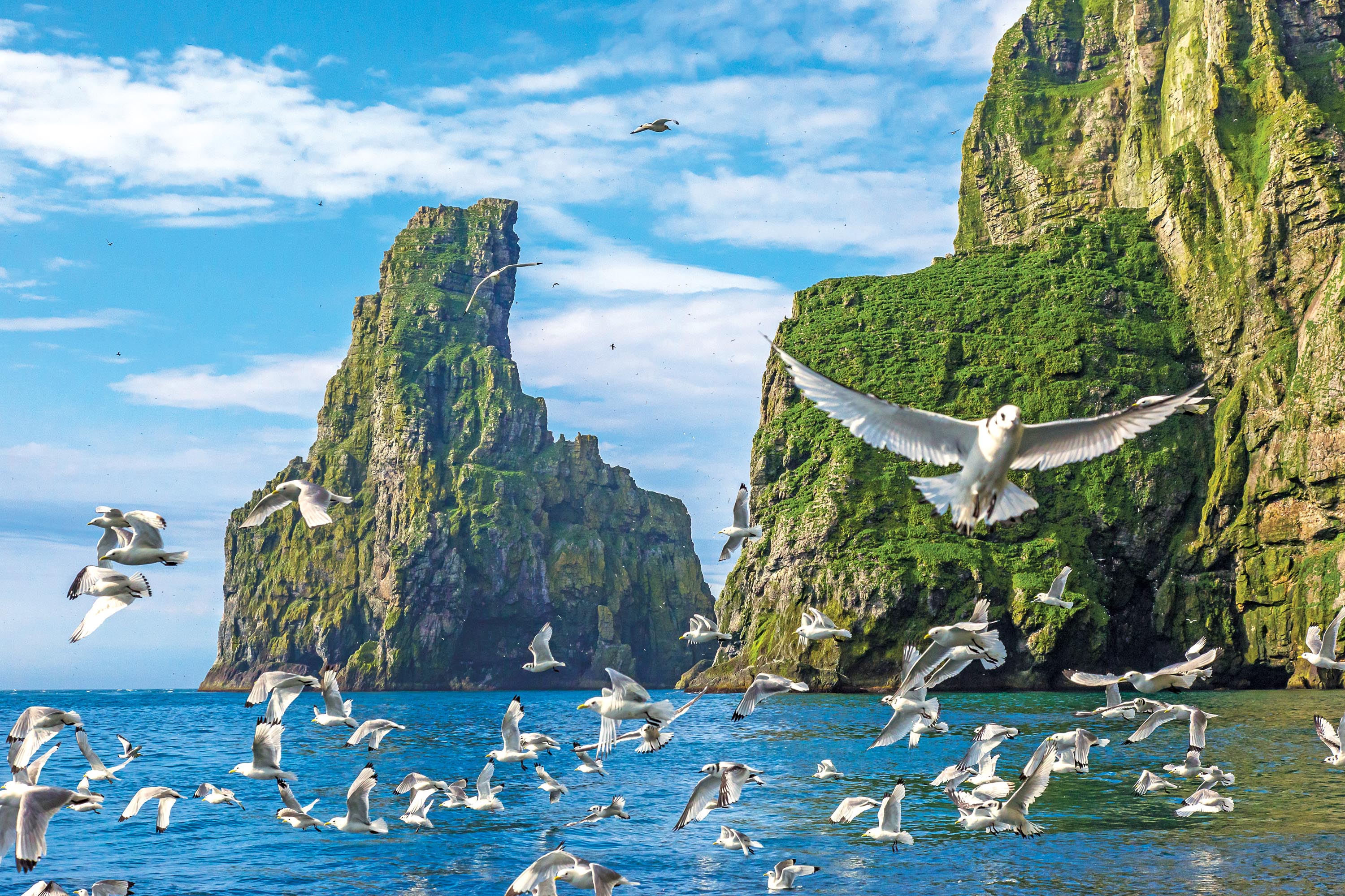 Experiencing Bear Island