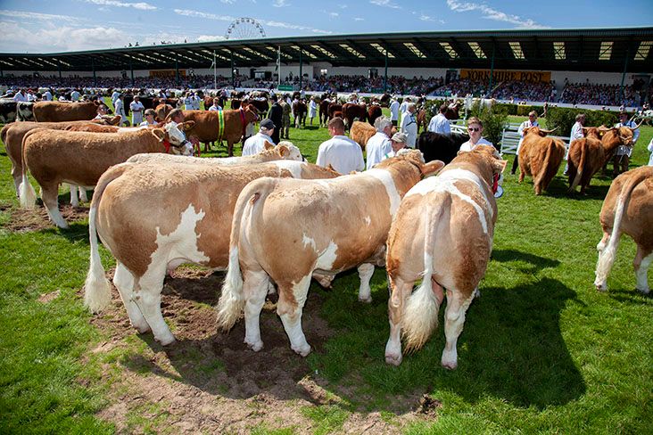 Great Yorkshire Show