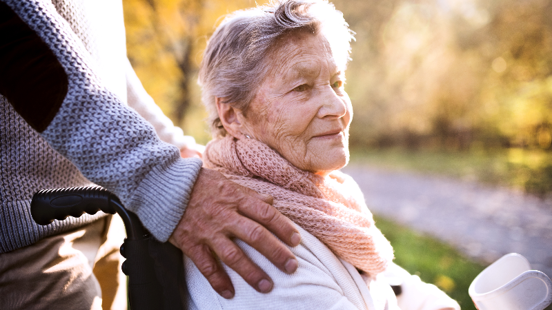 Senior man and woman in wheelchair in autumn nature.
