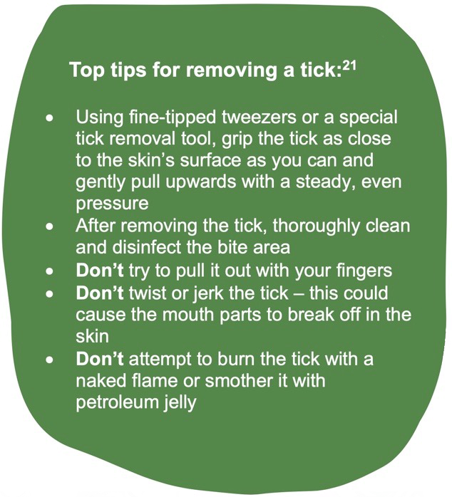 Tick Tips.png