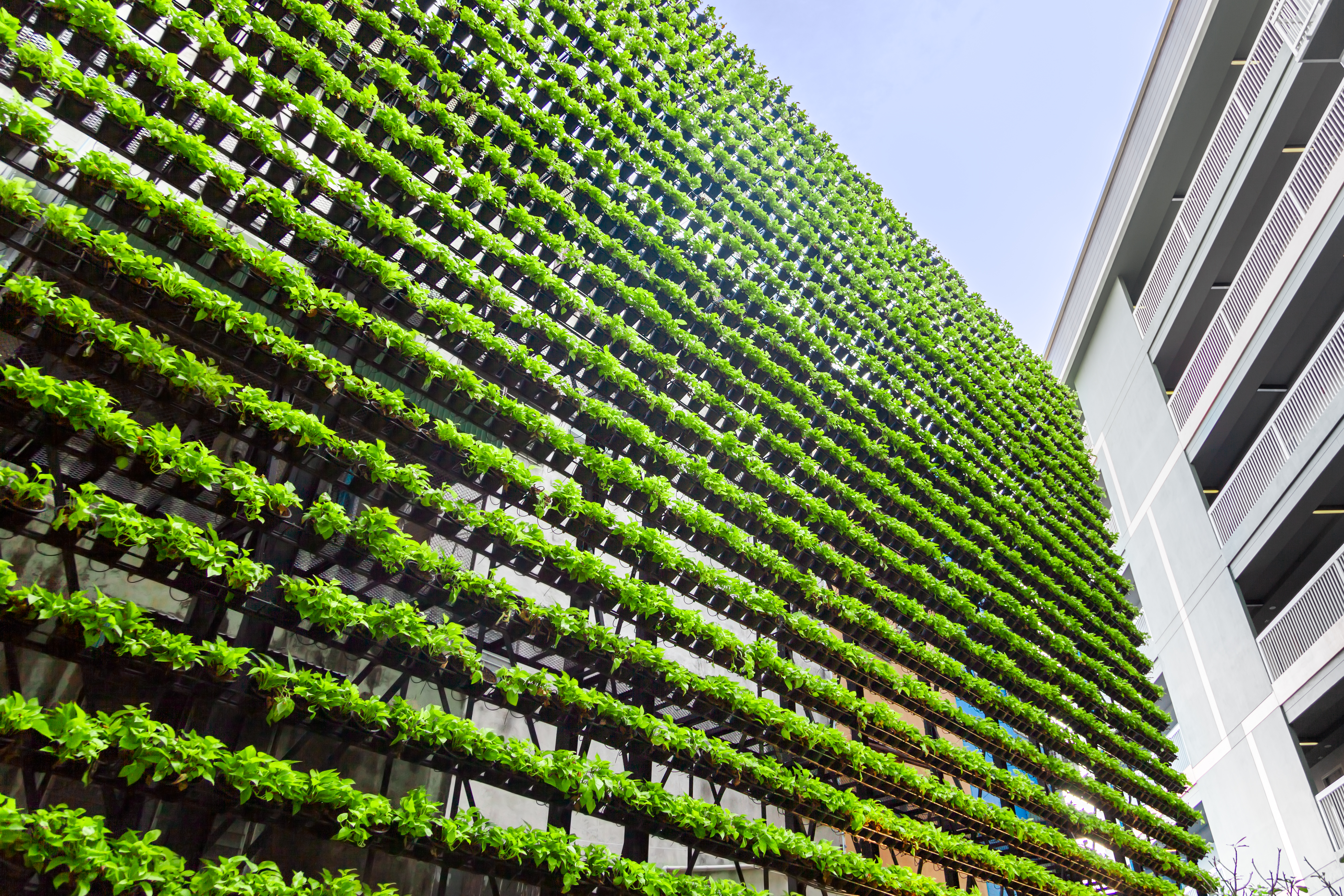 Vertical Garden – Green Wall –  BioWall