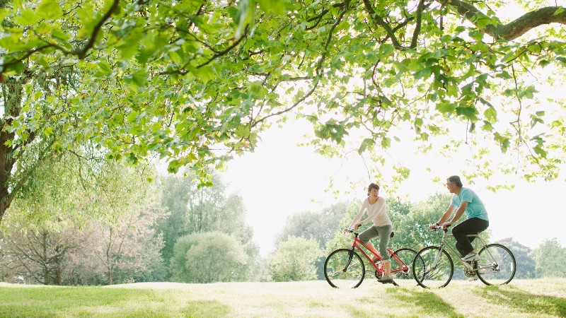 iStock-108359509.jpg