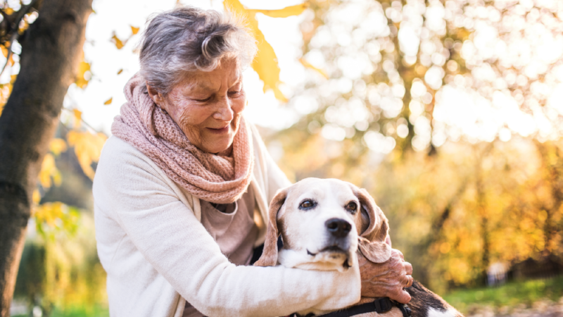 An elderly woman with dog on a walk in autumn nature.