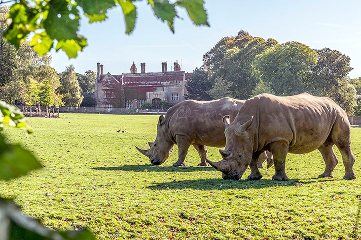 Marwell Zoo