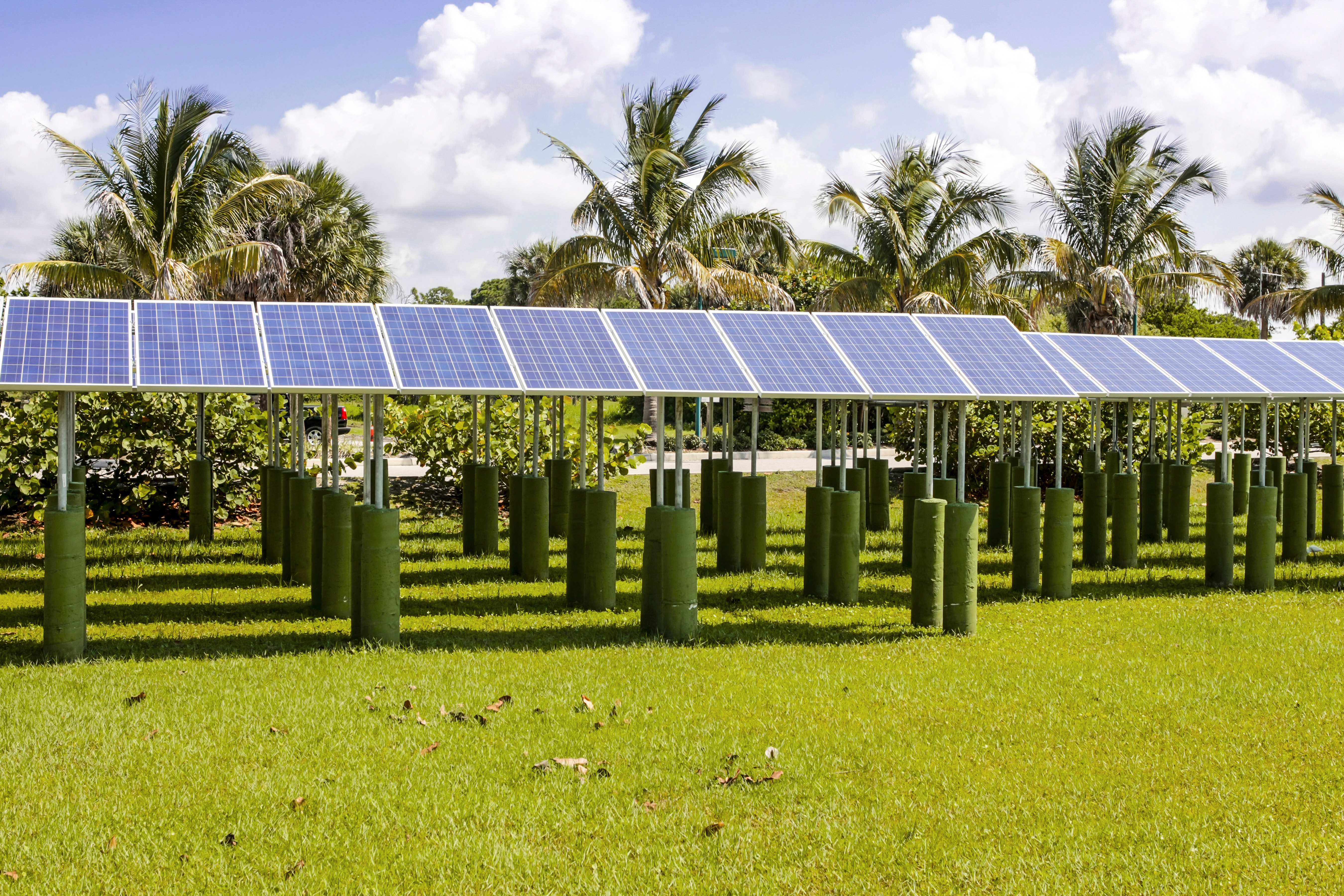 Rows of Solar Panels in Florida