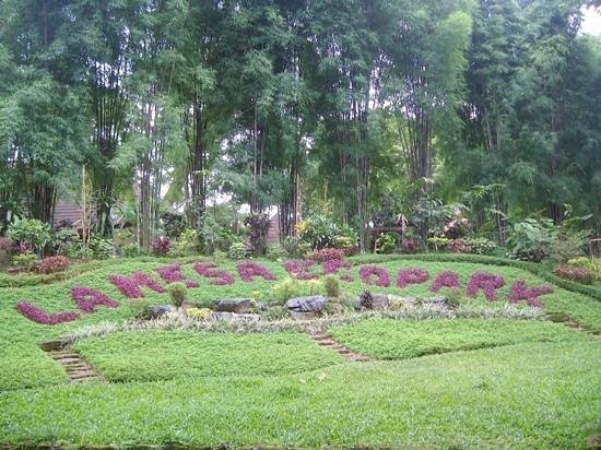 la-mesa-ecopark-garden.jpg