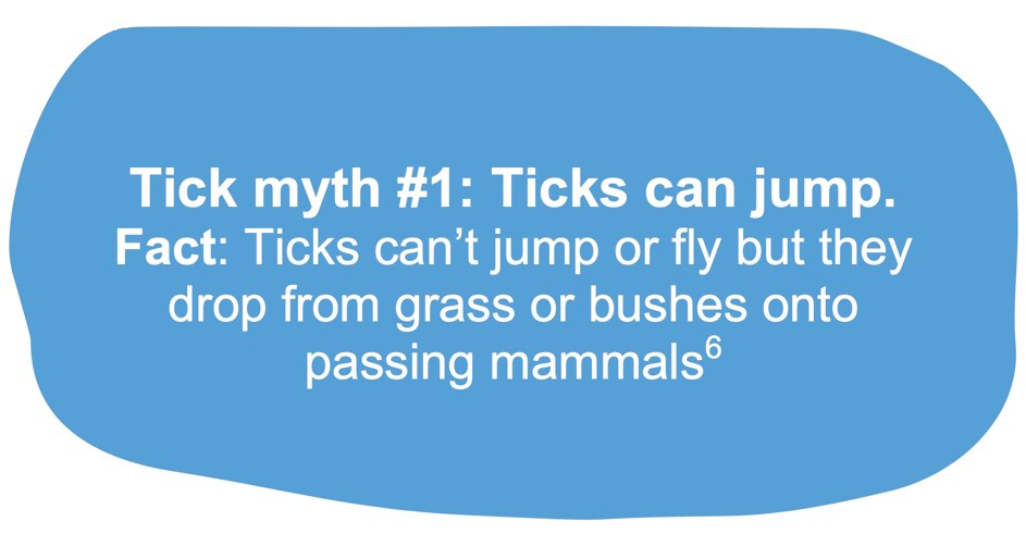 Tick Myth 1.png