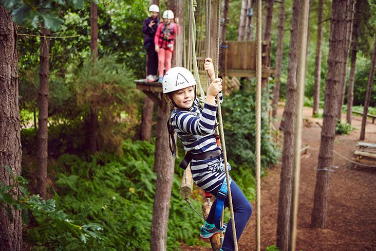 Centre parcs high ropes