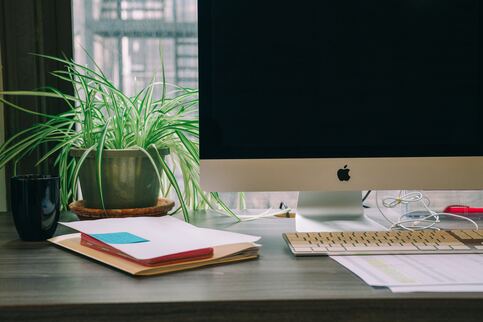 blank monitor and plant on desk