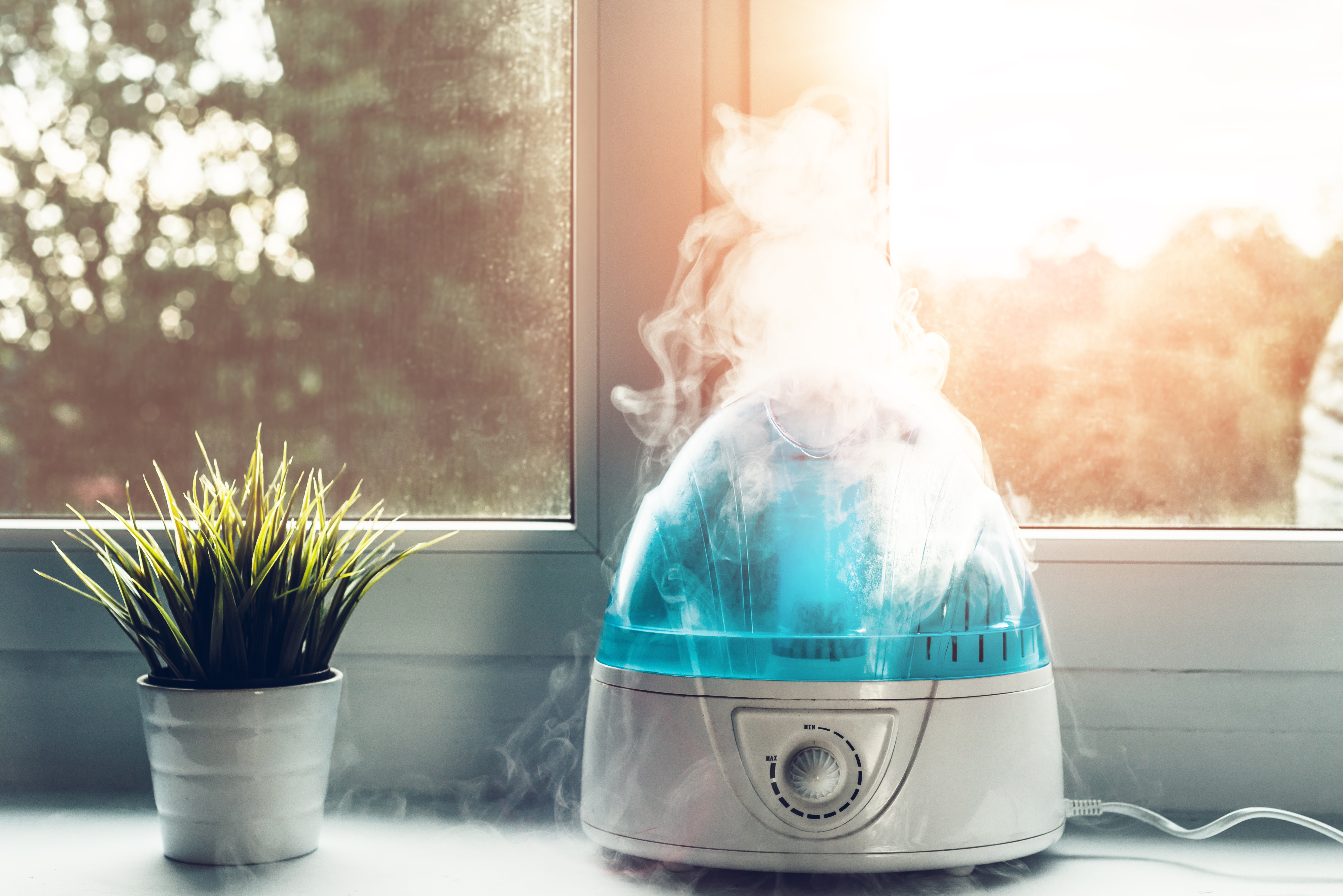 A blue and silver air humidifier sitting next to a plant pot