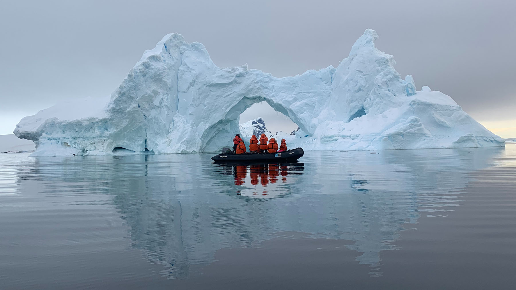 World Penguin Day: Exploring the Southern Ocean With the Penguin Lady