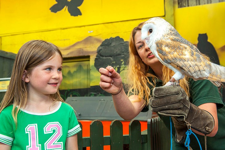 Folly Farm