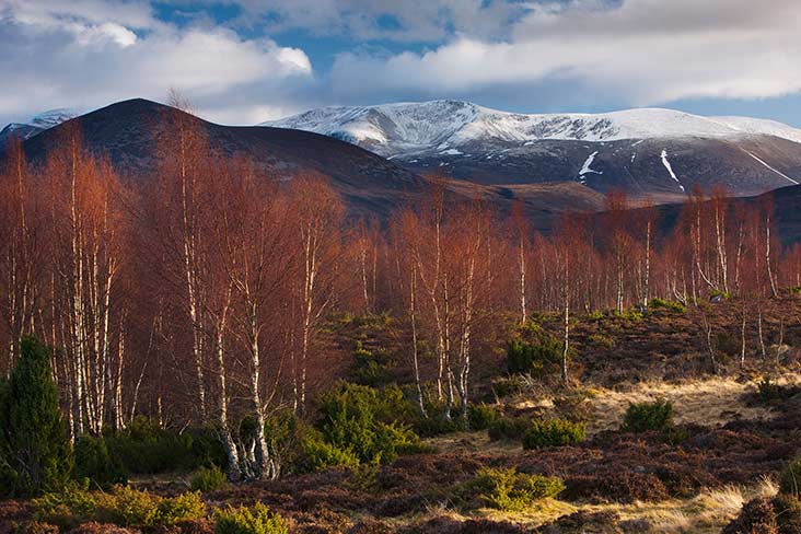 Cairngorms National Park