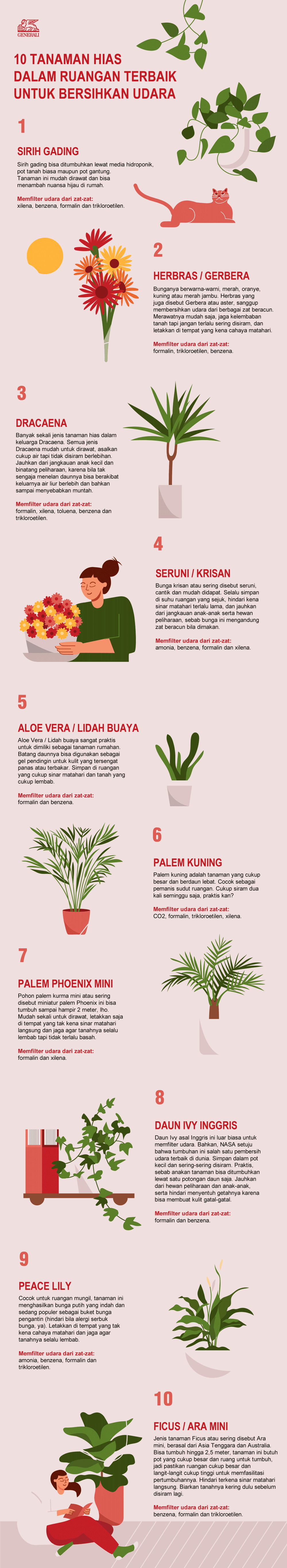 10 tanaman hias untuk membersihkan udara dalam rumah