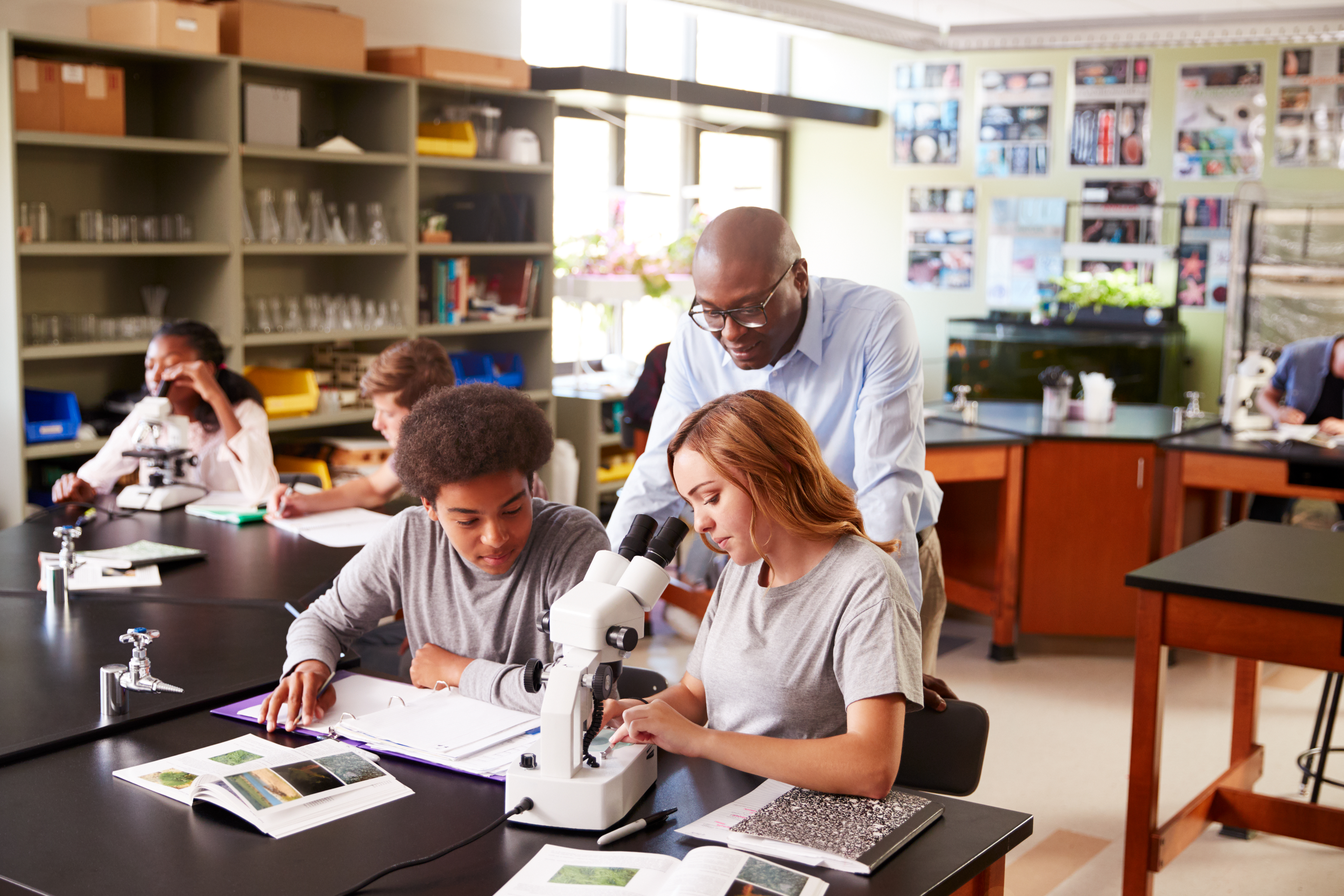 Biology universities. Урок биологии. Урок биологии в США. Урок биологии в старших классах. Учитель биологии Сток.