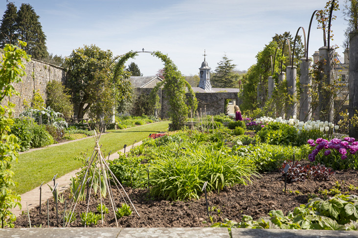 Beautiful Dyffryn Gardens in spring