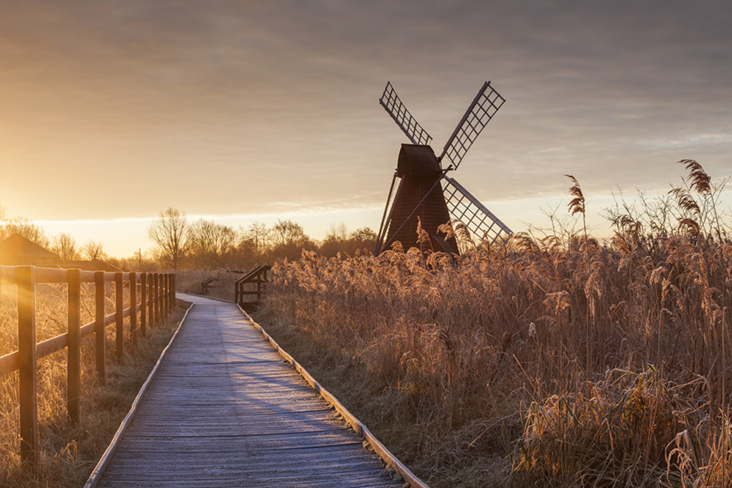 The Boardwalk Trail at Wicken Fen