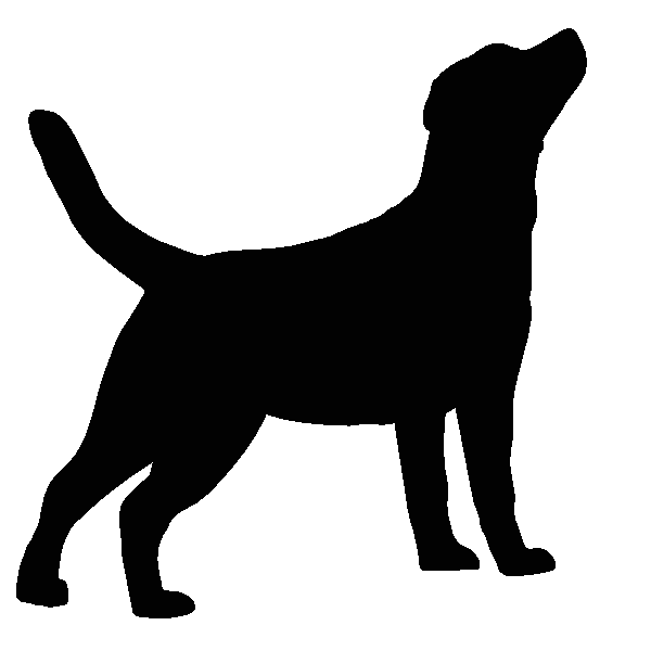 Dog Labrador Retriever breed. Silhouette