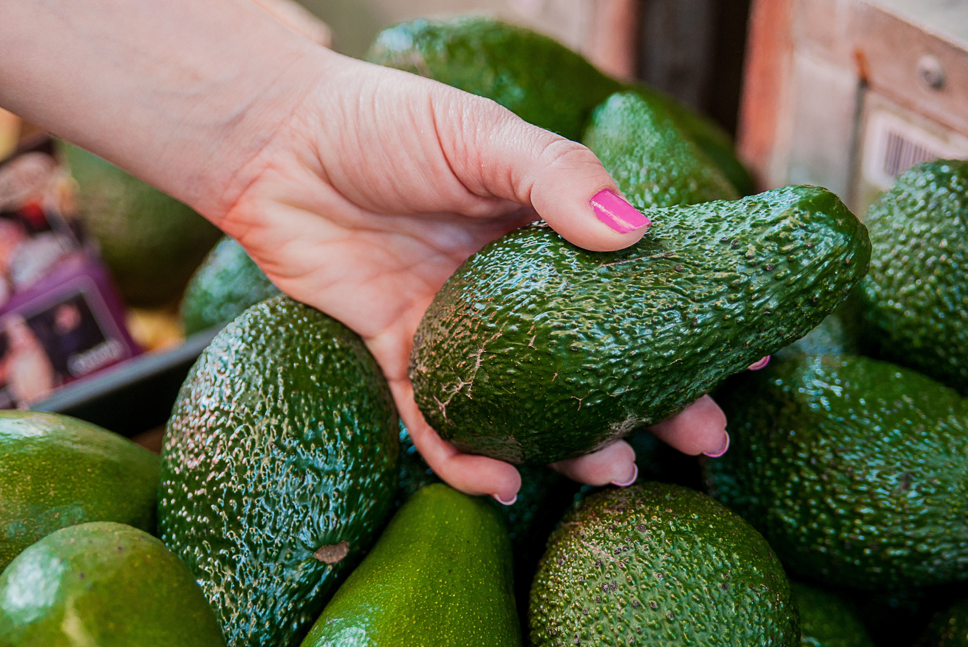 How to pick avocado