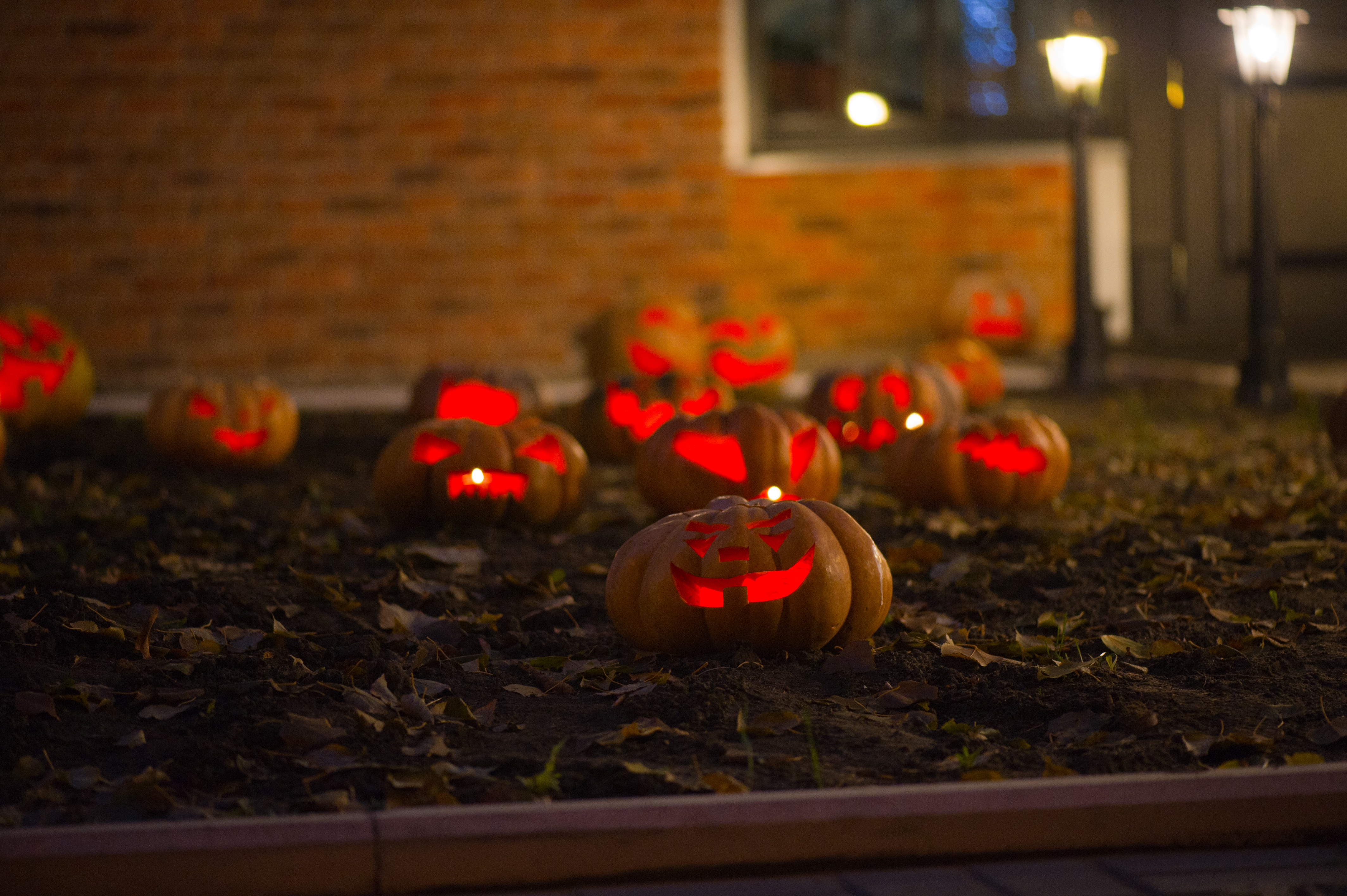 Pumpkins Galore Everything You Need To Know About Jack O’ Lanterns