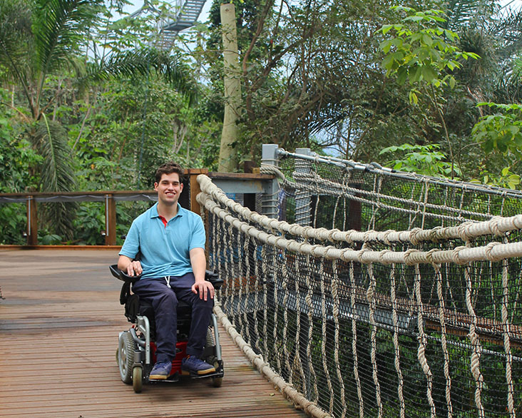 The rainforest canopy walkway at the Eden Project