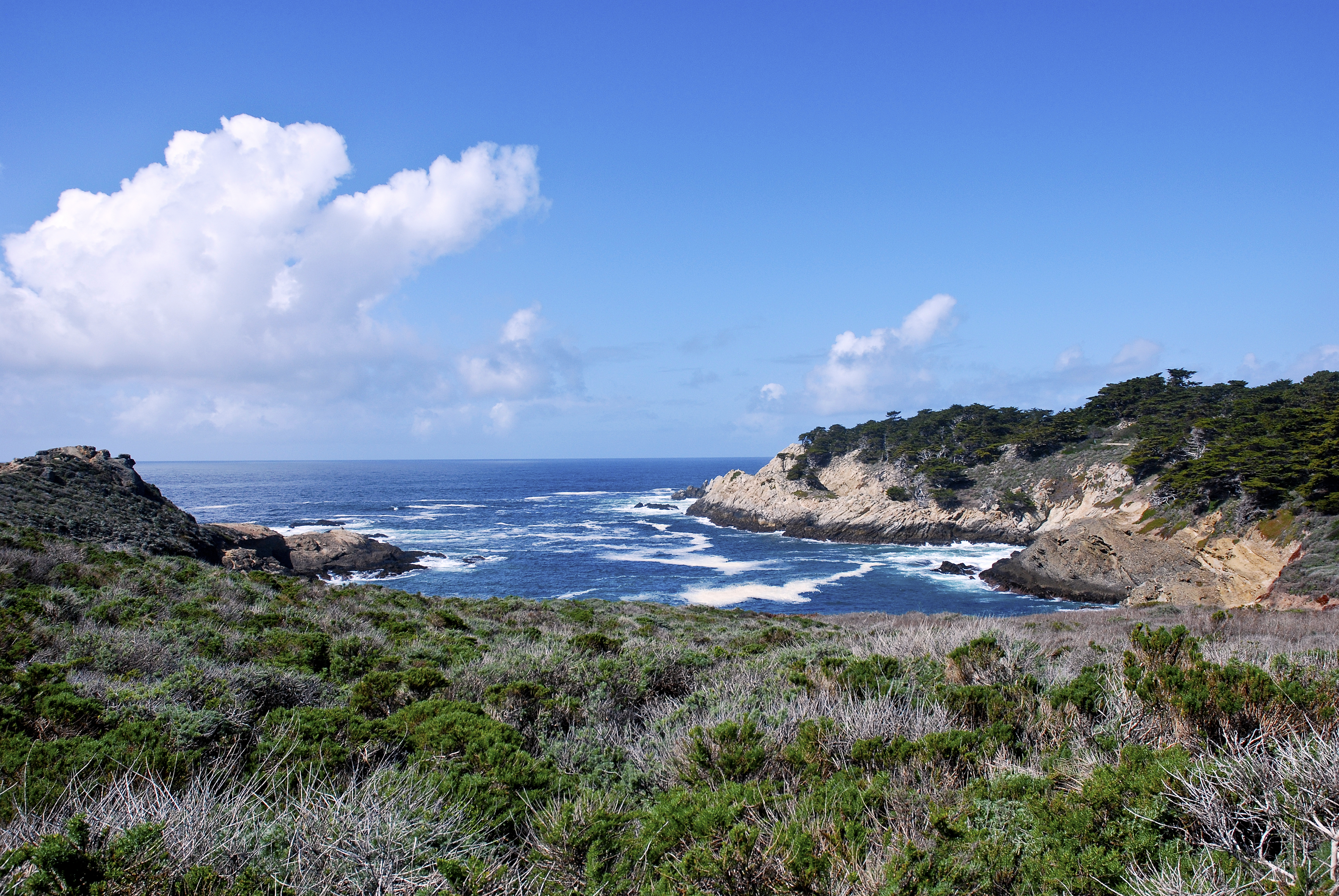 Seascape at Point Lobos State Reserve, California, USA